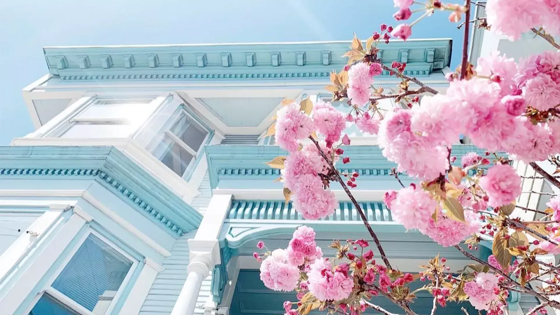 Cerezos en flor frente a una casa victoriana